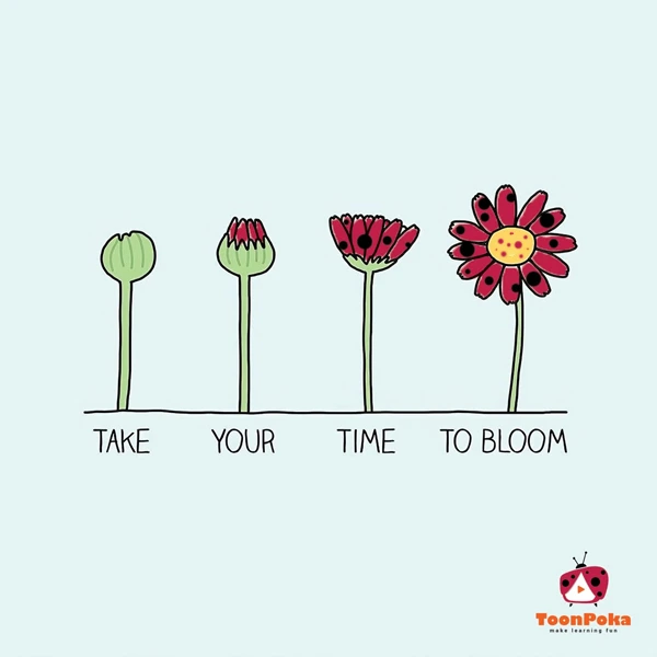 toonpoka-bloom